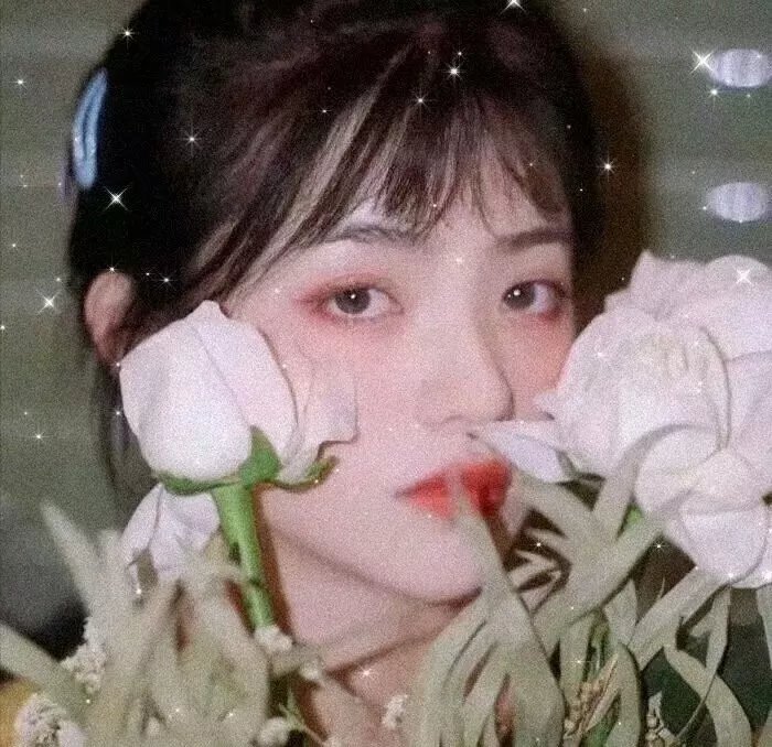 最后的太阳
